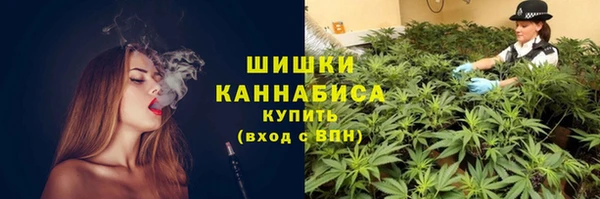 спайс Алзамай