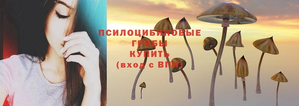 стафф Алексеевка