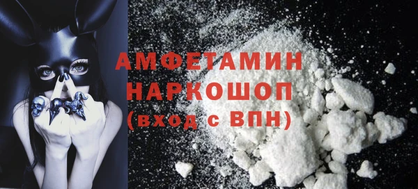 молекула духа Алексин