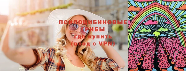 гашик Нестеровская