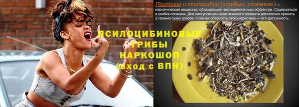 спайс Алзамай