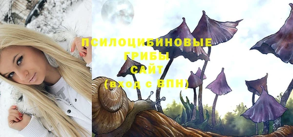стафф Алексеевка
