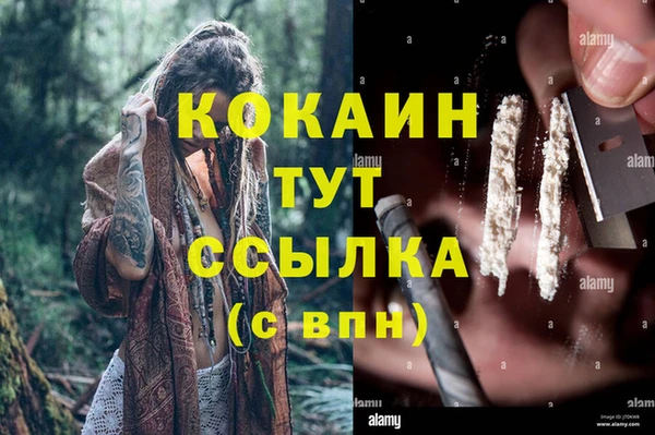 спайс Алзамай