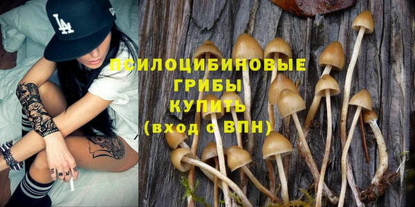 молекула духа Алексин