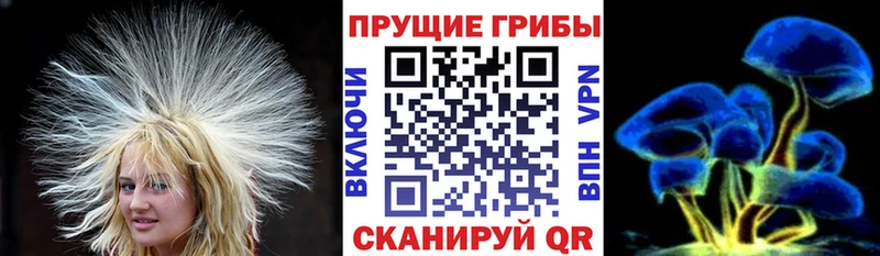 Псилоцибиновые грибы Magic Shrooms  Кропоткин 